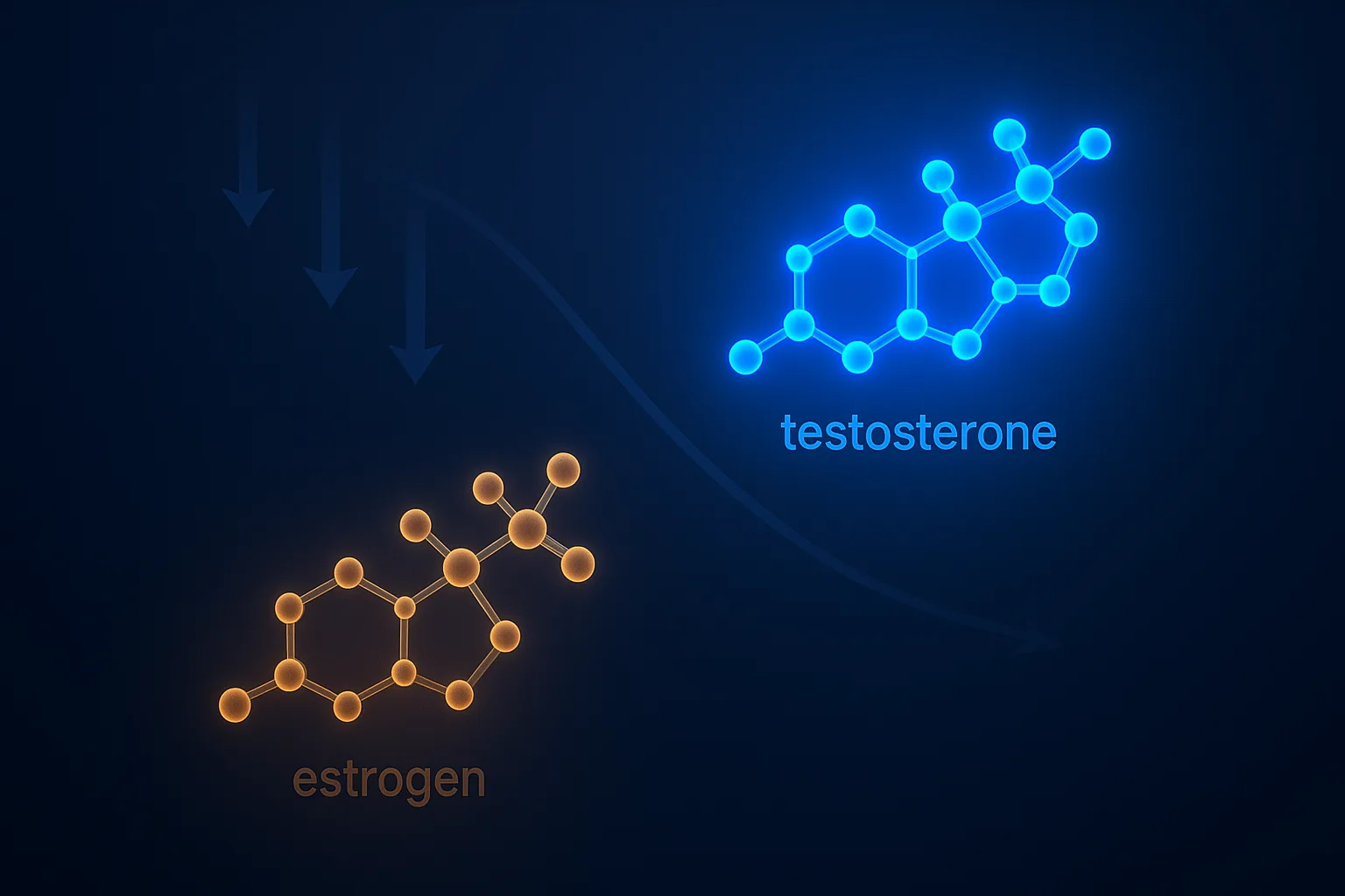 Low estradiol on TRT symptoms illustration on dark navy background