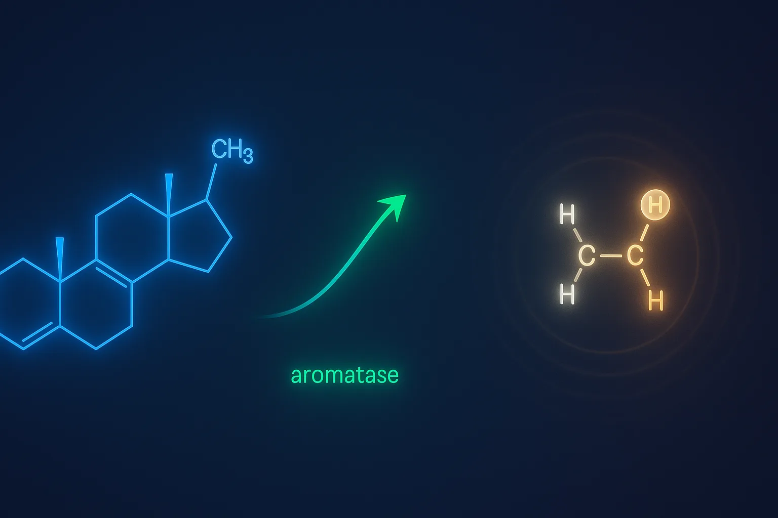 TRT and alcohol: how drinking affects testosterone therapy results