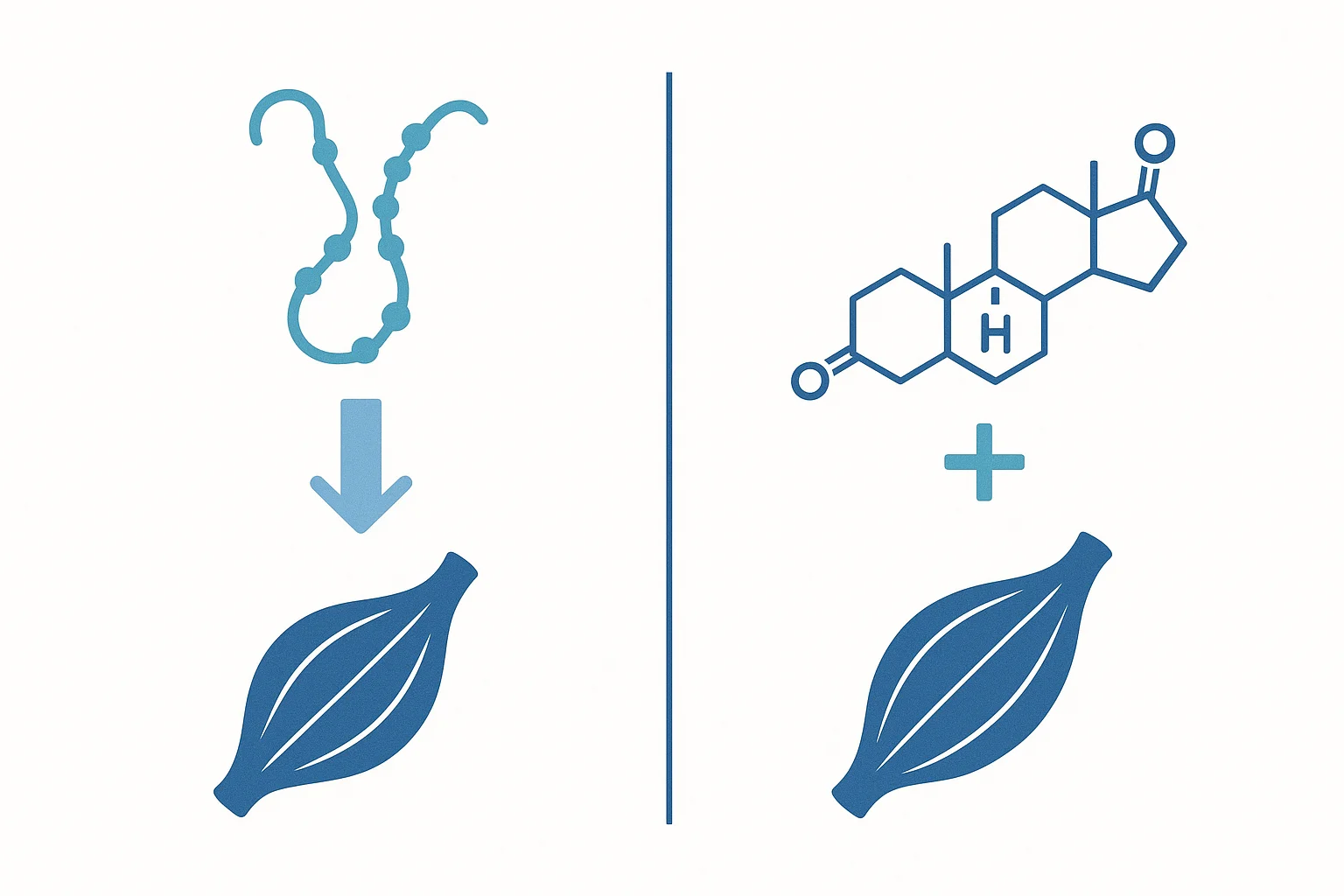 Research supports combining testosterone with GLP-1 for obese men with low testosterone